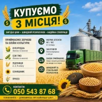 Постійно купуємо зернові та олійні