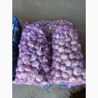 Продам оптом часник 5-10-20 тон