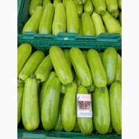 Продам кабачок 1 сорт