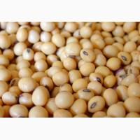 Куплю сою некондиція закупівля у великих про обсягах по всій території України ДОРОГО