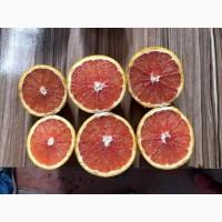Грейпфрут