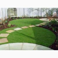 Газон. Український універсальний газон весела трава