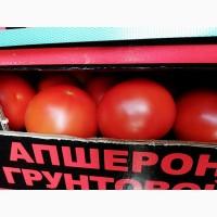 Помидоры грунтовые. В наличии. Вывоз из Киева