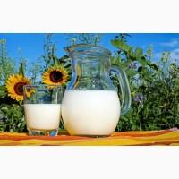 Молоко продам, Саврань