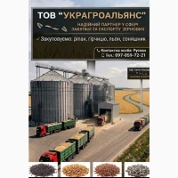 Компанія купить Ріпак та сонях! Працюємо з посередниками! Вигідні умови