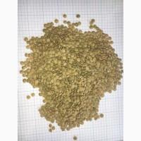 Чечевица зеленая оптом производитель