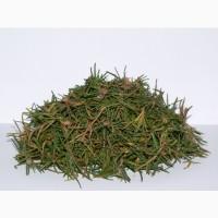 Багульника (побеги) 1кг