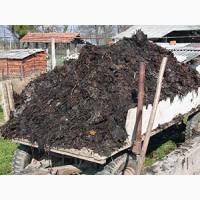 Гній навоз конский Продам