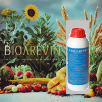 Біодобриво BIOAREVIN Універсальне багатофункціональне біодобриво