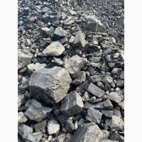 Уголь каменный ДГ (13-100)
