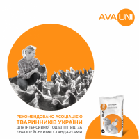 Гроверний комбікорм для молодняку курей несучок AVA UNI HG