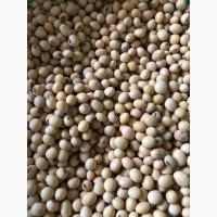 Насіння сої Канзас. Ультра-рання стійка до Раундапу + відео