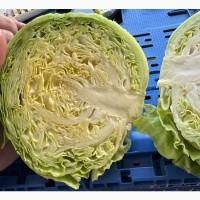 Продам капусту