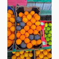 Продам мандарины