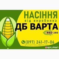 Насіння від виробника - Гібрид кукурудзи ДБ Варта (ФАО 280)