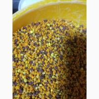 Продам бджолиний пилок