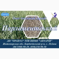 Насіння вівса Парламнтський (БН, еліта, СН, перша)