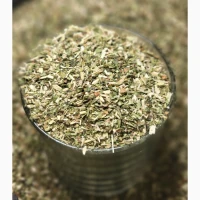 Махорка домашня зелена тютюн домашній