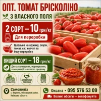 ОПТ. Томат Брісколіно для переробки - від 10 грн/кг