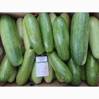 Продам кабачки 2 сорт