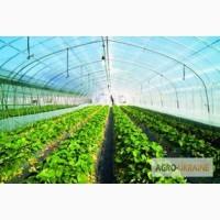 Строительство теплиц с системами полива, отопления