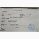 В продаже замечательный гнедой жеребчик