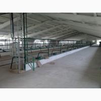 Корівники та свинарники. БУДІВНИЦТВО ТА РЕКОНСТРУКЦІЯ