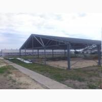 Корівники та свинарники. БУДІВНИЦТВО ТА РЕКОНСТРУКЦІЯ
