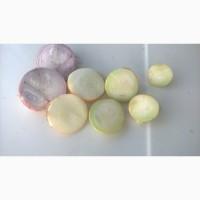 Лук Штутгарт на перо