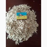 Продам насіння гарбуза
