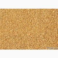 Закупляємо Просо