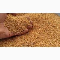 3вкупвю 3ерн08ые п0 8сей террит0рии Укрвины