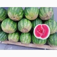 Продам арбуз херсонский