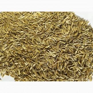 Haciння райграса однорічного