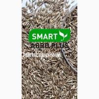 Haciння райграса однорічного