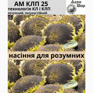 Семена подсолнечника гибрид КЛП 25