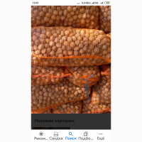 Продам бойный грецкий орех