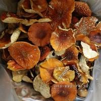Червоний мухомор шляпки красный мухомор amanita muscaria 50г
