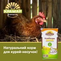 Натуральний комбікорм для курей-несучок від виробника Крамар