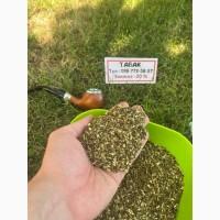 Свіжа махорка-самосад для вас