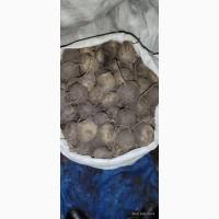 Продам буряк и морковь 2 сорт