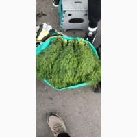 Продам кріп