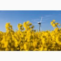 Купимо Ріпак Можливий самовивіз по всій Україні