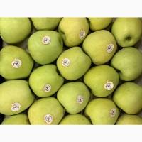Куплю яблука сорту Golden Delicious, калібр 65+, обсяг - 100 тонн