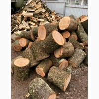 Купити дрова дубові Луцьк дрова з дуба