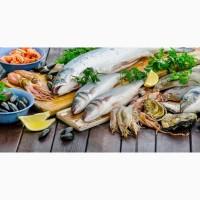 Закуповує свіжоморожену морську рибу в асортименті:скумбрію оселедець, салаку, хек, минтай