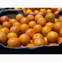 Продам Апельсин Іспанія