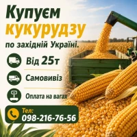 Куплю кукурудзу на постійній основі, самовивіз