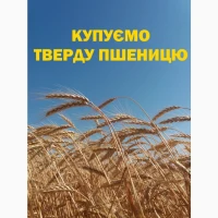 Купуємо ТВЕРДУ пшеницю