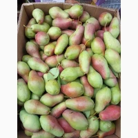 Продам талгарську красуню